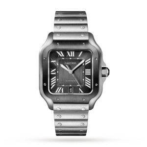 Cartier Santos de Cartier Men Automatic Grey Stainless Steel Watch WSSA0037