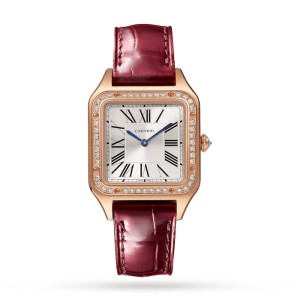 Cartier Santos-Dumont Women Quartz Silver Leather Watch WJSA0017